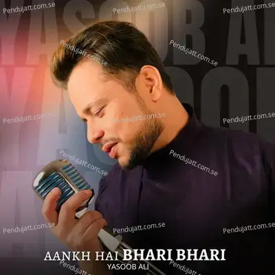 Ankh Hai Bhari Bhari - Yasoob Ali album cover 