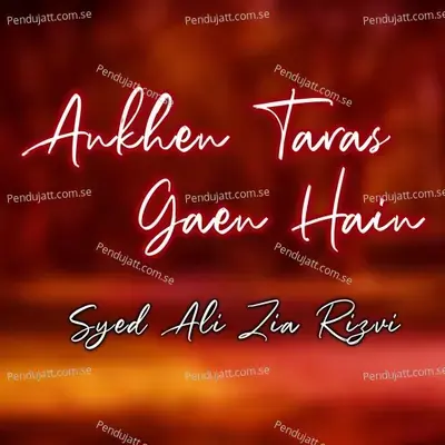 Karbobala Laho Ka Safar Bolti - Syed Ali Zia Rizvi album cover 