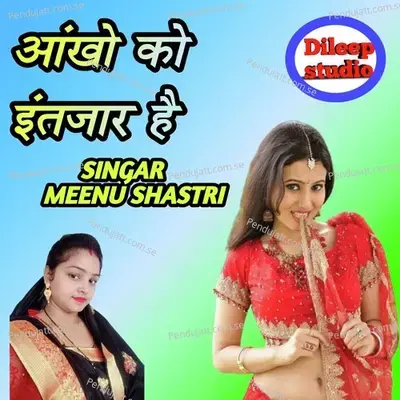 Ankho Ko Intjar Hai - Meenu Shastri album cover 