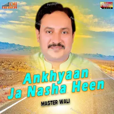 Ankhyaan Ja Nasha Heen - Master Wali cover album