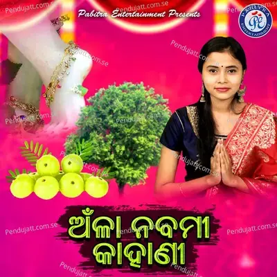 Anla Nabami Kahani - Baisnabee Ghosh album cover 