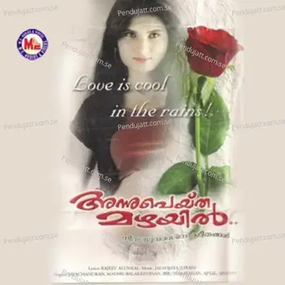 Hrudhayanal - Nasim album cover 