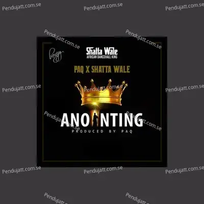 Anointing - PAQ album cover 