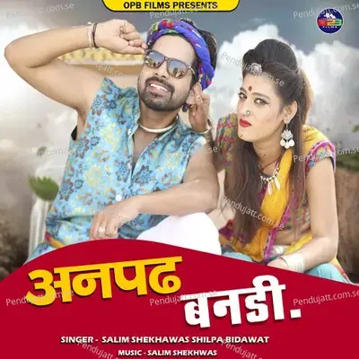 Anpad Bandi - Salim Shekhawas album cover 