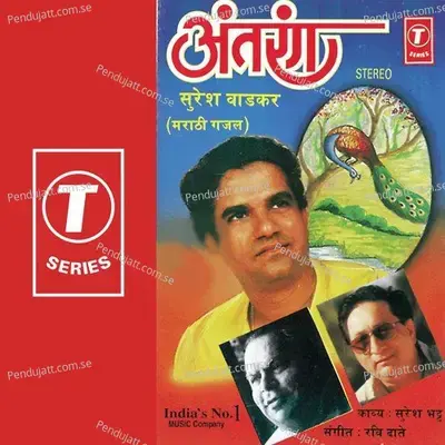 Pahaate Pahaali Malaa Jaag Aali - Ravi Daate album cover 