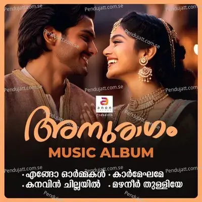 Kanavin Chillayil - Krishnaraj album cover 