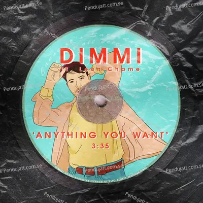 Anything You Want - Timmy album cover 