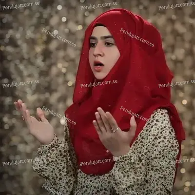 Ap Kya Janay Murtaza A s Kya Hai - Syeda Falak Zehra Rizvi album cover 