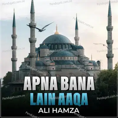 Apna Bana Lain Aaqa - Ali Hamza album cover 