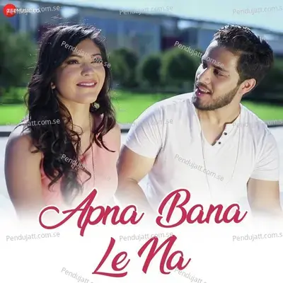 Apna Bana Le Na - Shahzeb Tejani album cover 