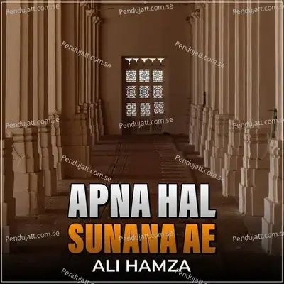 Apna Hal Sunana Ae - Ali Hamza album cover 