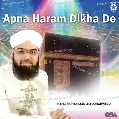 Sohnron Nalo Aaqa - Hafiz Muhammad Ali Soharwardi album cover 