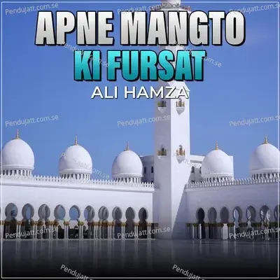Apne Mangto Ki Fursat - Ali Hamza album cover 