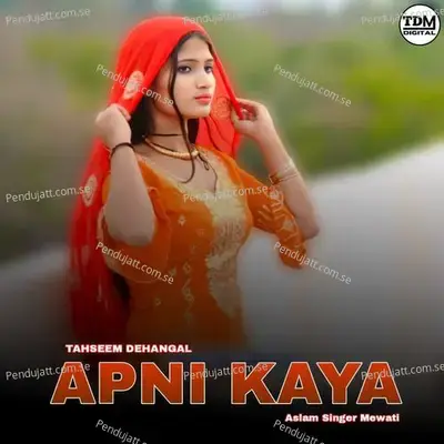 Apni Kaya - Aslam Singer Mewati album cover 