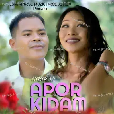 Apor Kidam - NIBIR X album cover 