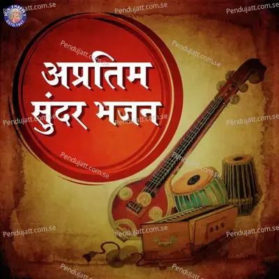 Jamo Jamadu - Mataji No Thal - Sanjeevani Bhelande album cover 