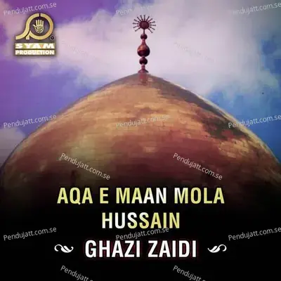 Hamsheera E Hussain - Ghazi Zaidi album cover 