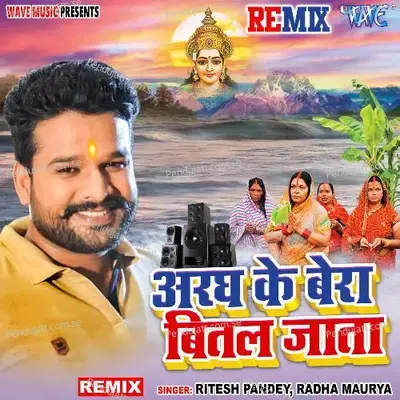 Aragh Ke Bera Bital Jata - Remix - Ritesh Pandey album cover 