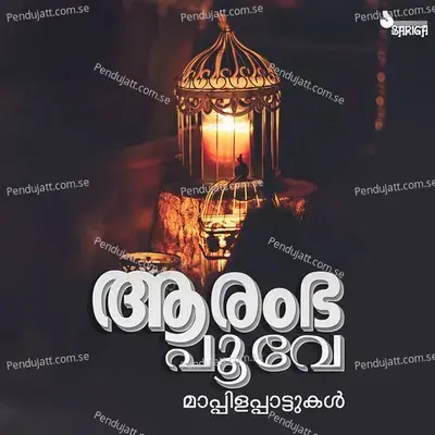 Ellam Ibrahim - Sibella Sadanandan album cover 