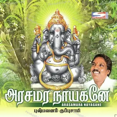 Arumugan Sagotharane - Pushpavanam Kuppuswamy album cover 