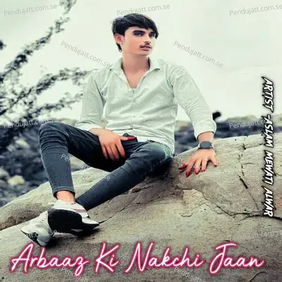 Arbaaz Ki Nakchi Jaan - Aslam Mewati Alwar album cover 