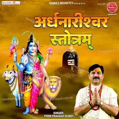Ardhnarishwar Stotram - Prem Prakash Dubey album cover 