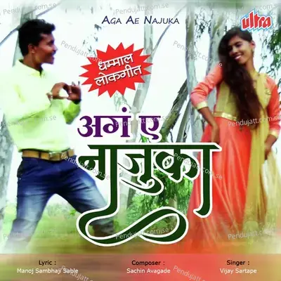 Are Ae Najuka - Vijay Sartape album cover 