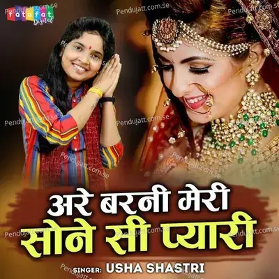 Are Barni Meri Sone Si Pyari - Usha Shastri album cover 