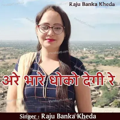 Are Bhare Dhoko Degi Re - Raju Banka Kheda album cover 