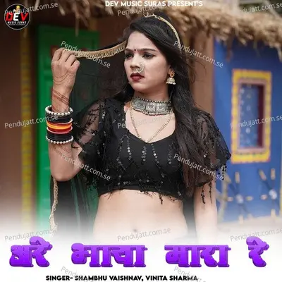 Are Bhaya Mara Re - Shambhu Vaishnav album cover 