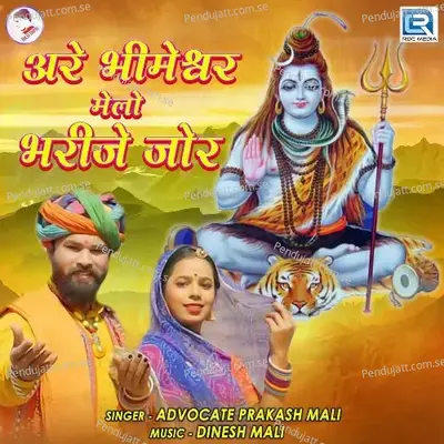Are Bhimeshwar Melo Bharije Jor - Advocate Prakash Mali album cover 
