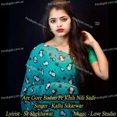 Are Gore Badan Pe Khili Nili Sadi - Kallu Sikarwar album cover 