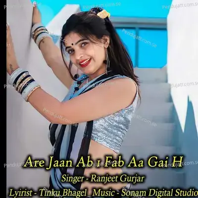 Are Jaan Ab 1 Fab Aa Gai H - Ranjeet Gurjar album cover 