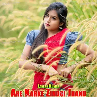 Are Karke Zindgi Jhand - Lokesh Kumar album cover 