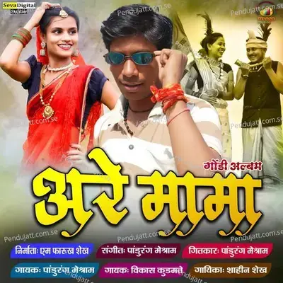 Bata Niwa Forol Ha - Pandurang Meshram album cover 