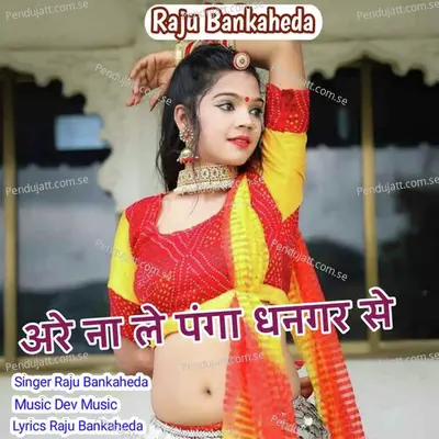 Are Nei Le Panga Dhanger Se - Raju Banka Kheda album cover 