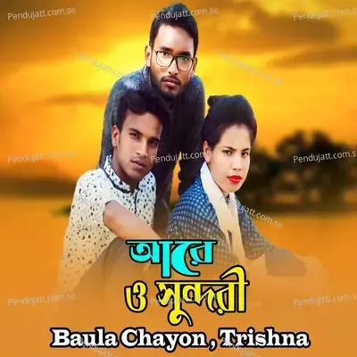 Are O Sundori - Baula Chayon album cover 