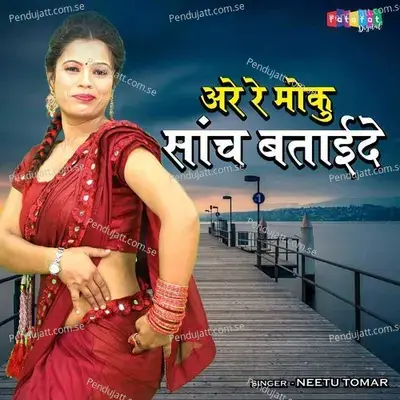 Are Re Moku Sanch Bataide - Neetu Tomar album cover 