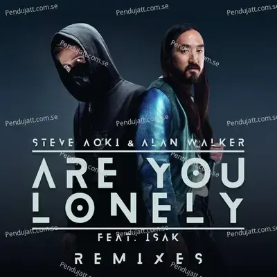 Are You Lonely  Remixes  - Steve Aoki cover album