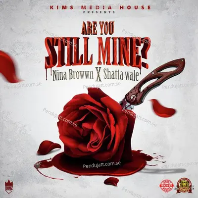 Are You Still Mine - Nina Browwn album cover 