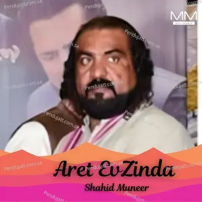 Aret Evzinda - Shahid Muneer album cover 