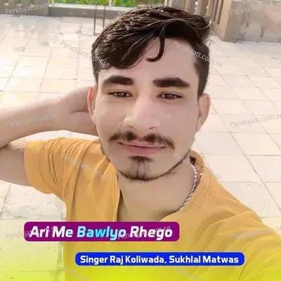 Ari Me Bawlyo Rhego - Raj Koliwada album cover 