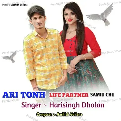 Ari Tonh Life Partner Sanju Chu - Harisingh dholan album cover 