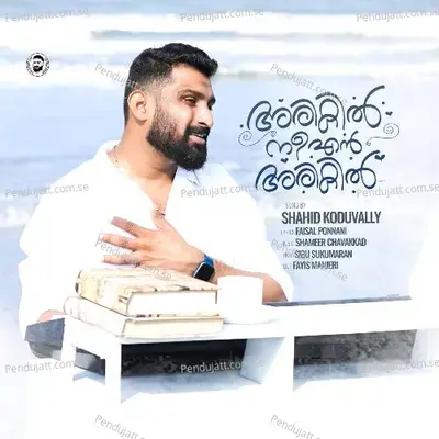 Arikil Nee Ennarikil - Shahid Koduvally album cover 