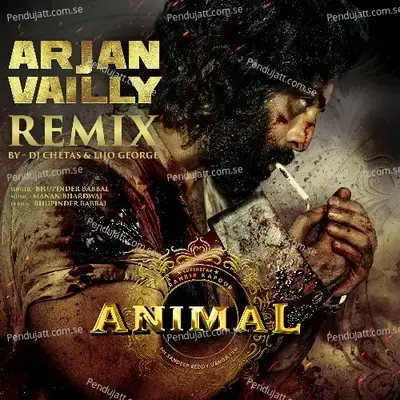 Arjan Vailly Remix - Manan Bhardwaj album cover 