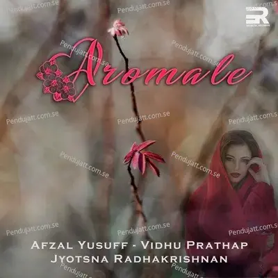 Aromale - Afzal Yusuff album cover 