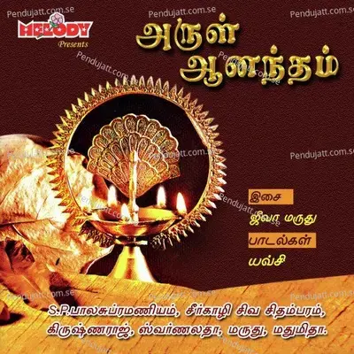 Aruloram Anandam - Seergazhi Siva Chidambaram album cover 