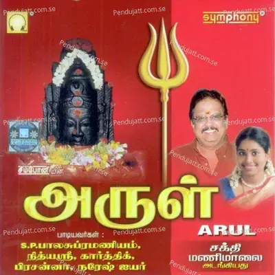 Aadhi Parasakthi - Naresh Iyer album cover 