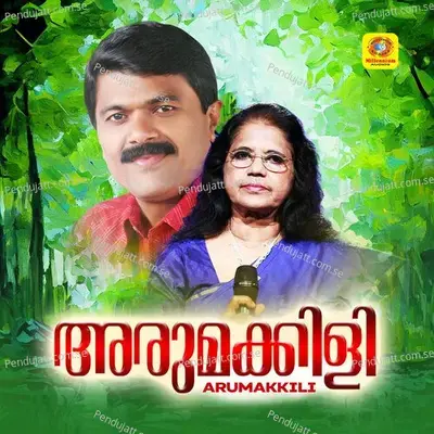 Pathanmbathu Pennungalum Ammayim Vannitt - Sibella album cover 