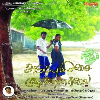 Aadaatha Aattam - Mohammed Rizwan album cover 